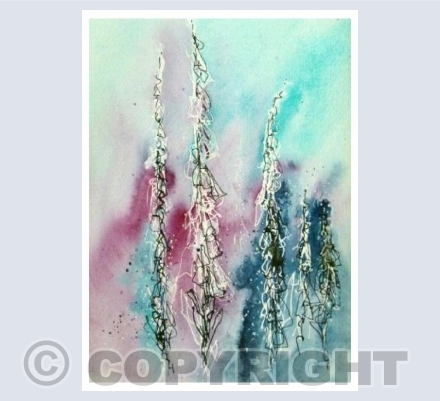 Misty foxgloves