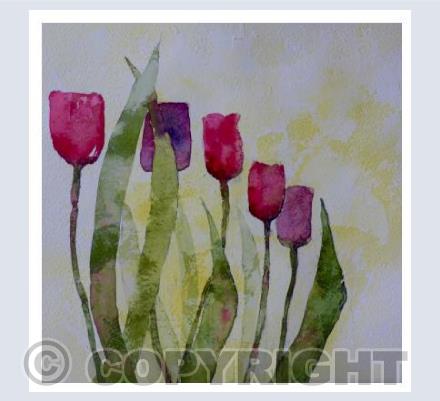 Spring tulips