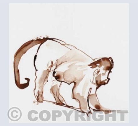 Capuchin on the move
