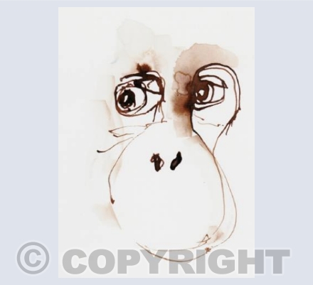 Primate face