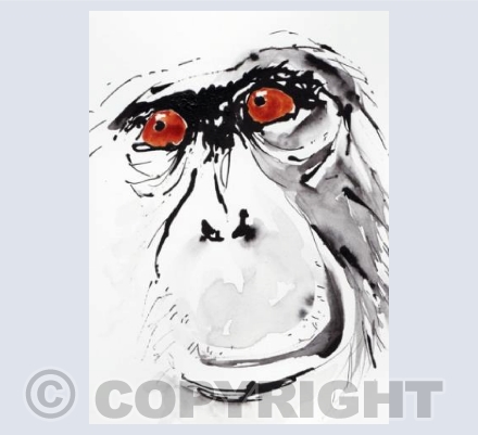 Chimp face