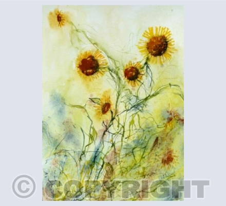 Fleabane in the hedgerow