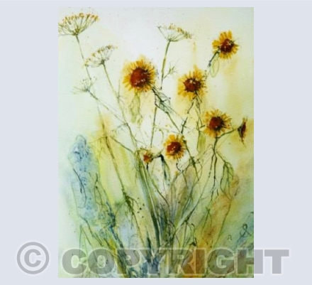 Fennel and fleabane
