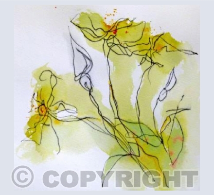 Summer roses II
