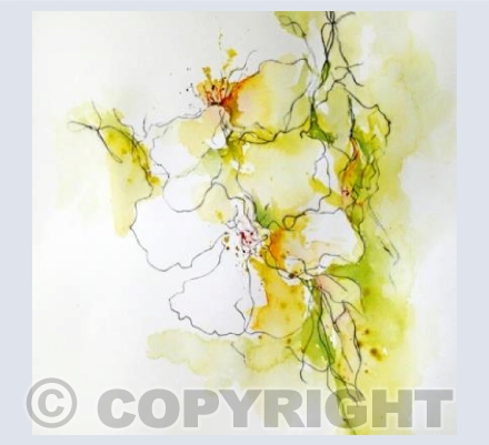 Summer roses IV
