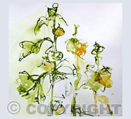 Hollyhocks II