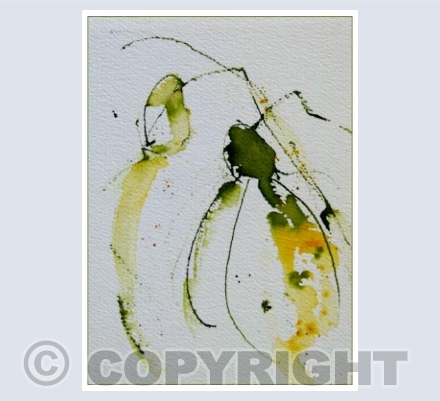 Snowdrop series 1