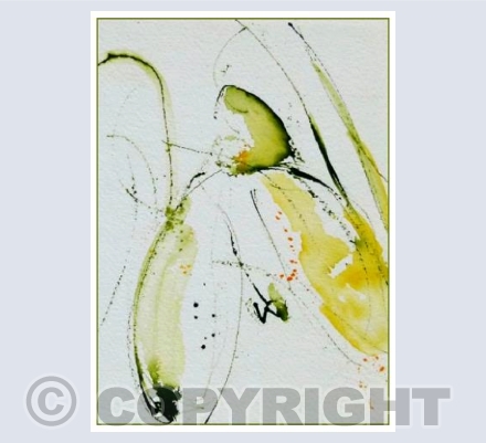 Snowdrop series 4