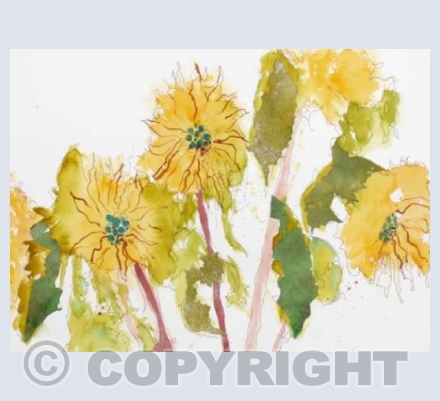 Fading sunflowers in pink vase