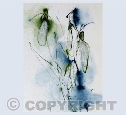 Sparkling snowdrops