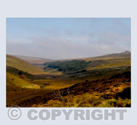 Wistman's Wood Landscape.