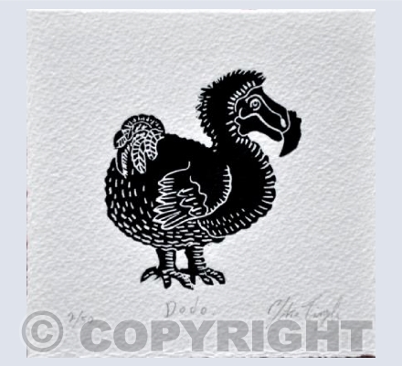 Dodo