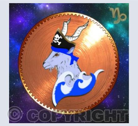 Starry Capricorn