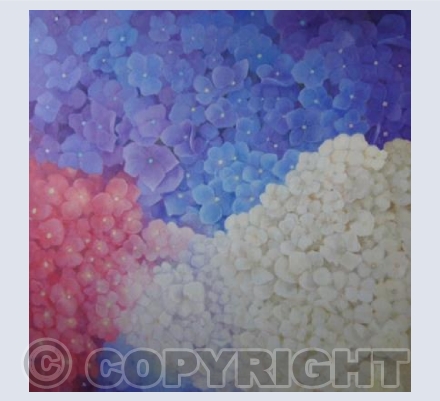 Hydrangeas