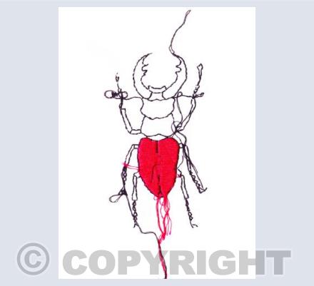 Stag beetle