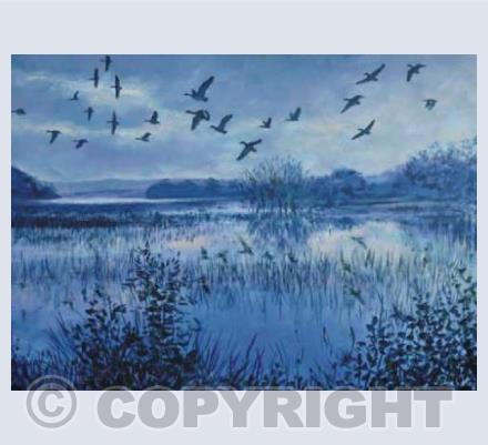 Dawn flight over mirrored water