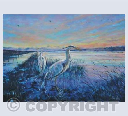 Herons at high tide