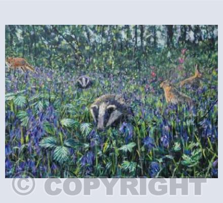 Spring in Rigsby wood