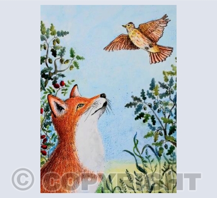 Red fox and skylark