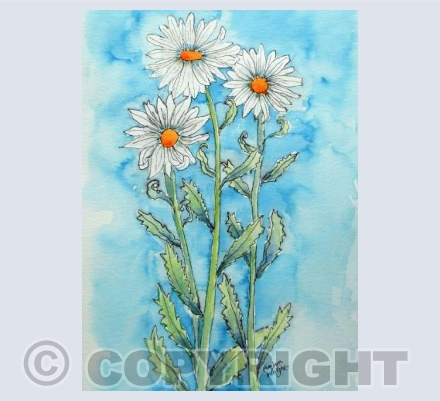 Three Daisies