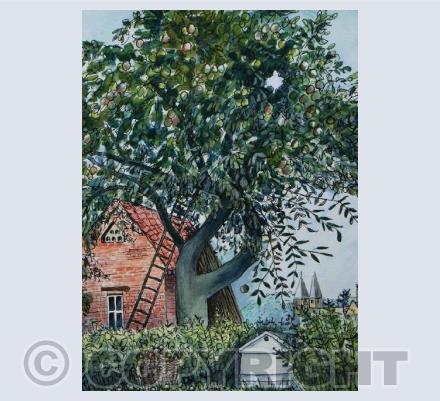 The Old Bramley Apple Tree
