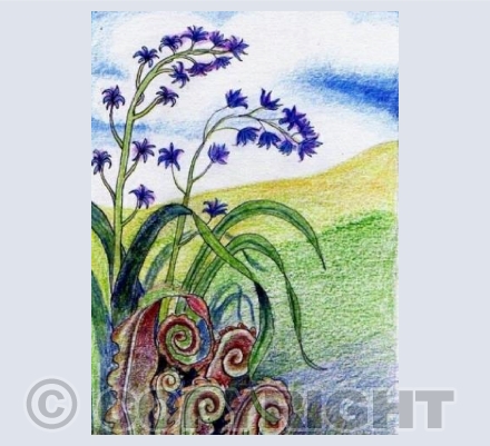 Bluebells and ferns