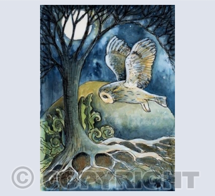 Owl In Moonlight