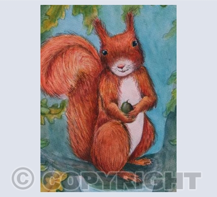 Red Squirrel