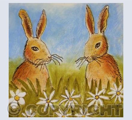 Hares in the meadow