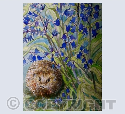 Hedgehog in spring garden 