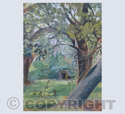 Orchard with henhouse Elston Notts 1970