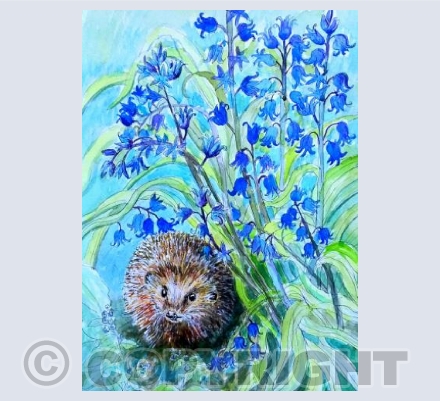 Hedgehog in the bluebells 