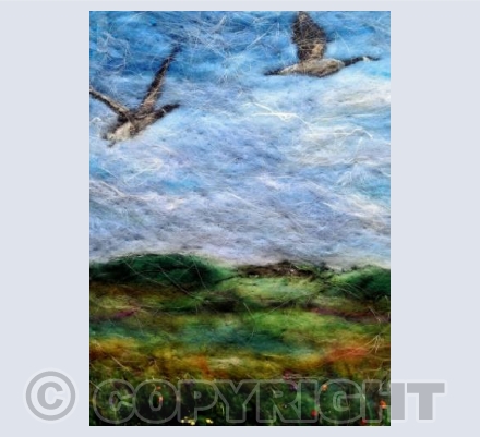 Wild Geese, Marazion