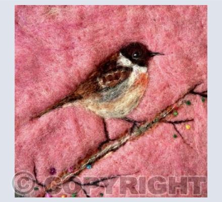 Stonechat