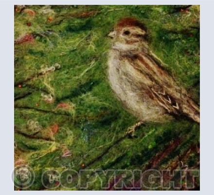 Sparrow