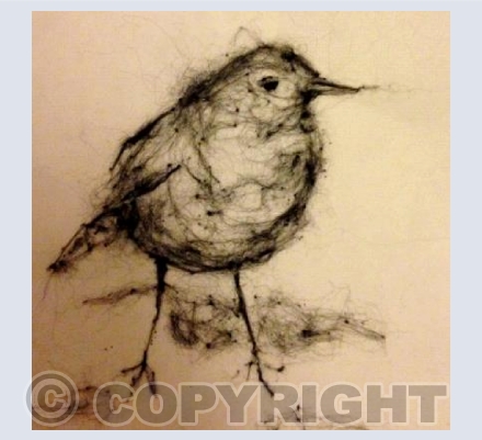 Cornish Robin