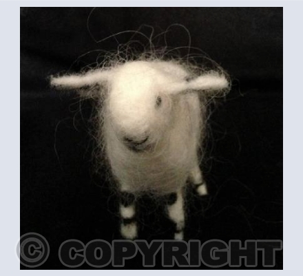 Arran the Sheep - meditative & happy