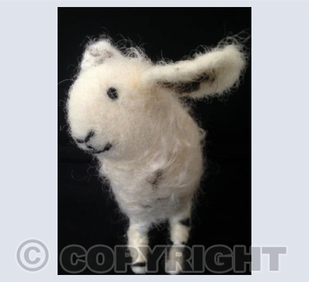 Arran the Sheep - Flying and Listening ears :)
