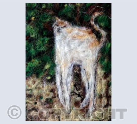 Charley le Chat Blanc (et Orange)