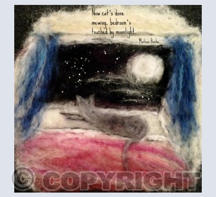 Moonlight silver cat