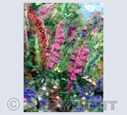 Cornish hedgerow
