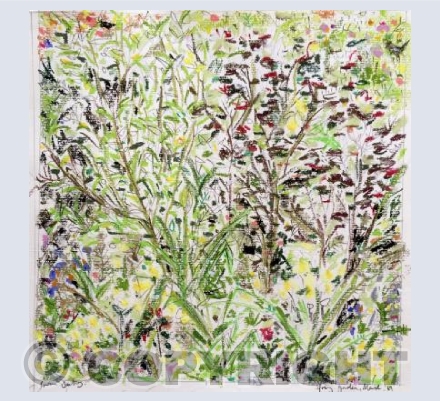 Spring garden, March