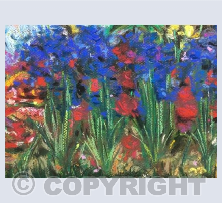 Garden bluebells