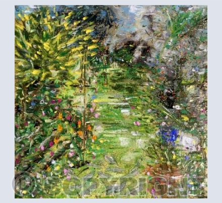 Eleven Collared Doves in the garden