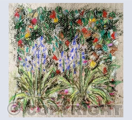 Bluebells and Camellia