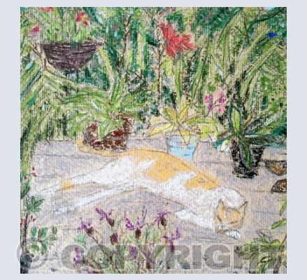 Charley on the patio