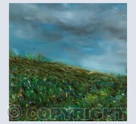 Gulval field after the rain 