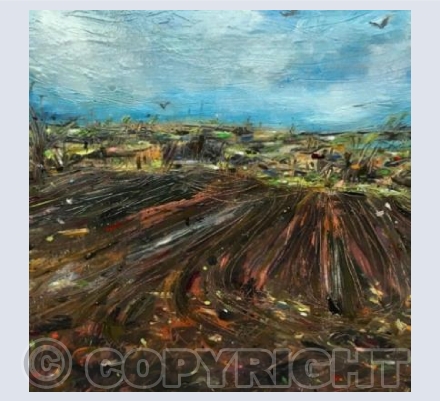 October field, Gulval