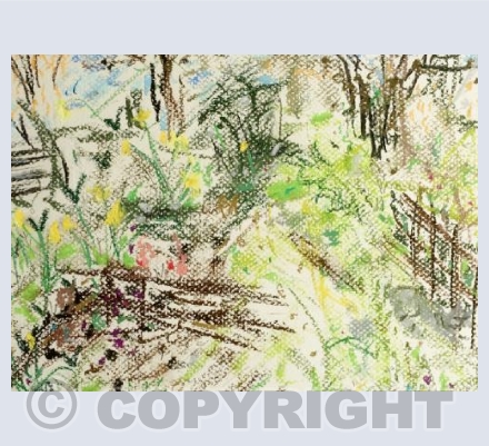 Silver onthe allotments