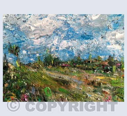 Gulval field with jackdaws